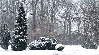 Winter solstice - heavy snowfall | Trending HD Video