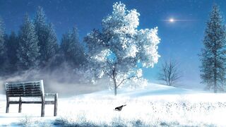 Winter Coat - id | Trending HD Video
