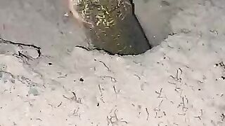 Fishing eel videos.. This is fishing eel videos.. Thanks for watching..!!