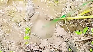 Fishing eel videos .. This is fishing eel videos.. Thanks for watching..!!
