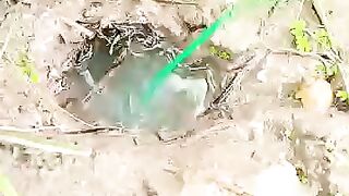 Fishing eel videos.. This is fishing eel videos.. Thanks for watching..!!