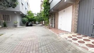 Super cute stray cats that want food and love