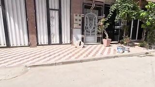 Mama Cat didn't want to show us these sweet kittens.