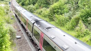 travelite - id | Trending HD Video