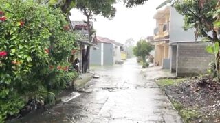 See more information