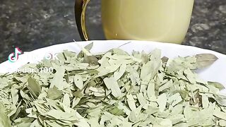 ورق الغار علاج فعل اكتشف ......