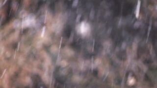 Winter Coat - id | Trending HD Video