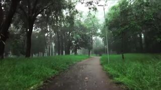 See more information