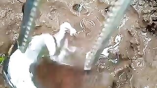 Fishing eel videos .. This is fishing eel videos.. Thanks for watching..!!