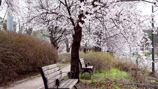 travelite - id | Trending HD Video