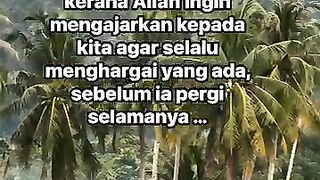 ????️Rindu