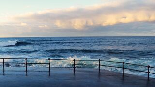 Travelon - id | Trending HD Video