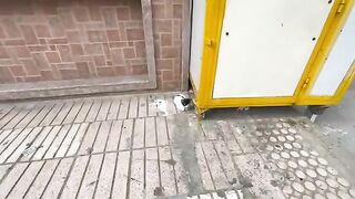 This very cute kitten asks me when it's time to eat