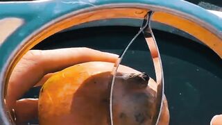 Perfect Mango Slices Every Time — The Must-Have Kitchen Gadget 2026