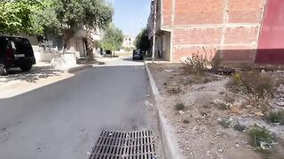 Cute stray cats will always need us to help them.