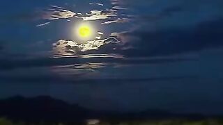 Finding calm in the chaos of life. ????️
