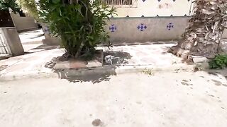 The big-nosed cat, after getting love, follows us in order to get food.