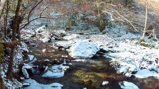 Winter solstice - a river in snowy forest | Trending HD Video