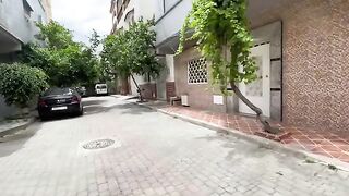 The shy stray cat wanted some love when she saw her friend getting it.