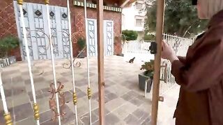 Mama Cat's kittens want to get to know their mother's servant.