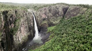 travelite - id | Trending HD Video