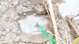 Fishing eel videos.. This is fishing eel videos.. Thanks for watching..!!