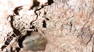 Fishing eel videos.. This is fishing eel videos.. Thanks for watching..!!