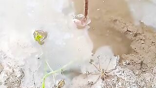 Fishing eel videos .. This is fishing eel videos.. Thanks for watching..!!