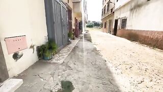 The cute stray cat sitting alone needs love and food.