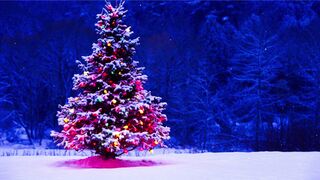 Winter Coat - id | Trending HD Video