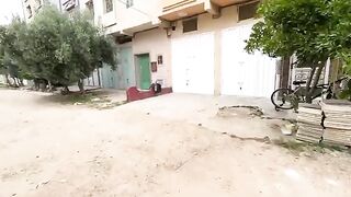 A friendly mama cat asks for food for her very hungry kittens