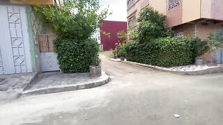 Street cats are very friendly and always wait for someone to give them food.