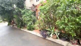 This cute cat loves to lie down, play and get delicious food.