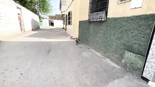 A cute mama cat asks for food for her kitten.
