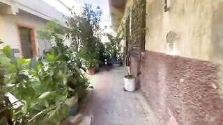 Cute mother cat asks for food to nurse her hungry kittens.