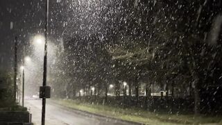 Winterhalter - peaceful night snowfall on quiet city street | Trending HD Video
