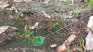 Fishing eel videos.. Fishing eel get fish.. This is fishing eel videos.. Thanks for watching..!!