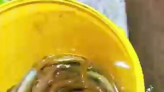 Fishing eel videos... This is fishing eel... Thanks for watching..!!