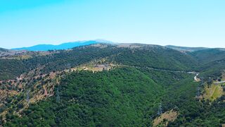 Travelon - id | Trending HD Video