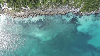 travelite - id | Trending HD Video