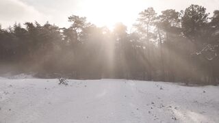 Winterhalter - id | Trending HD Video