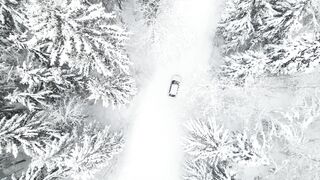 Winter Coat - aerial footage of trees covered with snow | Trending HD Video