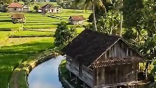 Rawat dan cintailah alam ini, seperti merawat dan mencintai diri kita sendiri.  #reelfyp  #suasanapedesaan