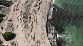 travelite - id | Trending HD Video