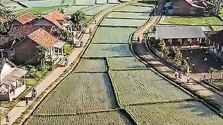 Potret suasana pagi dan aktifitas di pedesaan #pedesaan #sudutalam #village