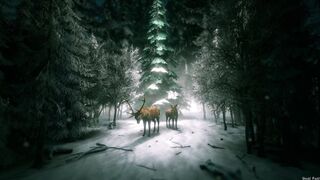 Winterhalter - id | Trending HD Video