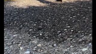Super Quality High Heels
