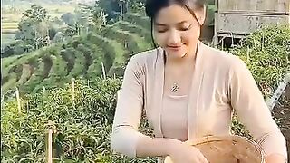 Dari kebun ke dapur, setiap cabai dipetik dengan hati. ????️ Alam mengajarkan kesabaran, kerja, dan rasa syukur. #pedesaan #sudutalam