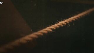 مسلسل وجب القضاء الحلقه 12