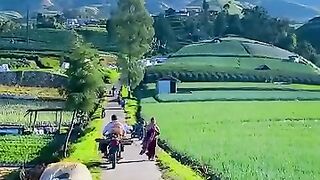 Lereng Gunung Sumbing Magelang.